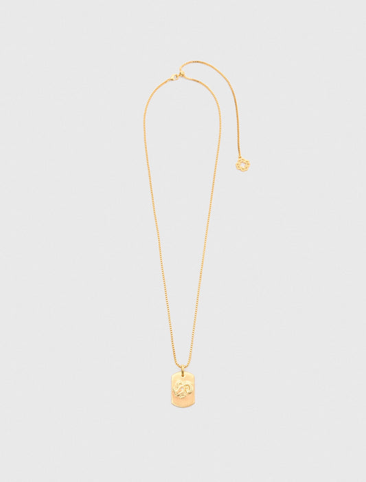 Collar placa signo del zodiaco