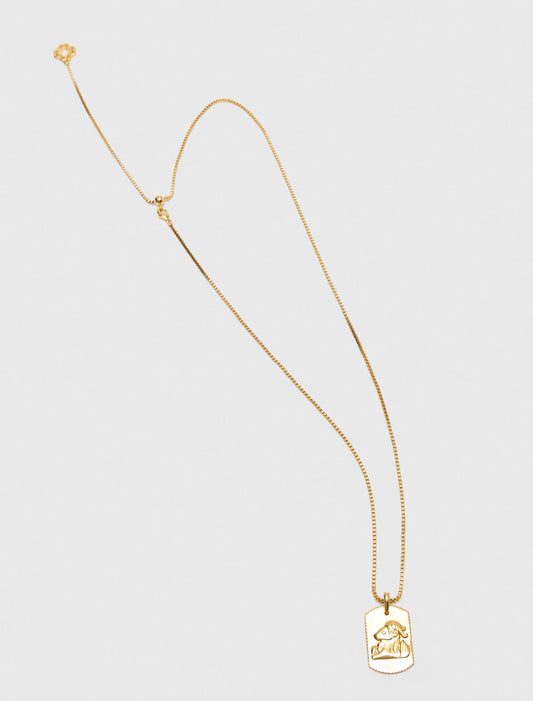 Collar placa signo del zodiaco