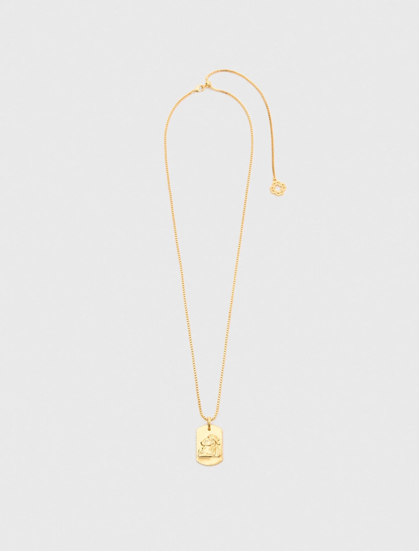 Collar placa signo del zodiaco