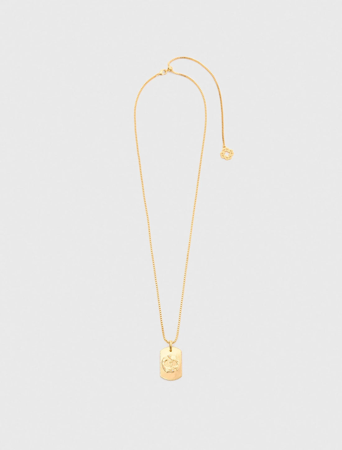 Collar placa signo del zodiaco