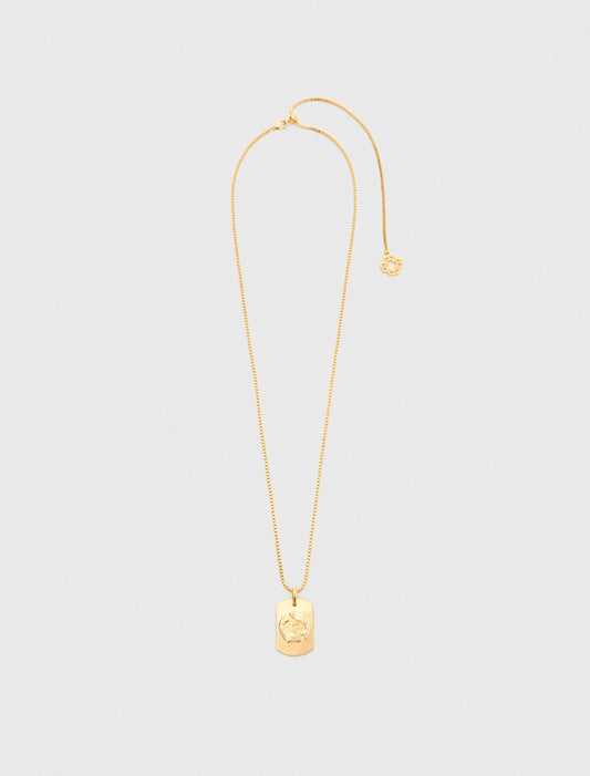 Collar placa signo del zodiaco