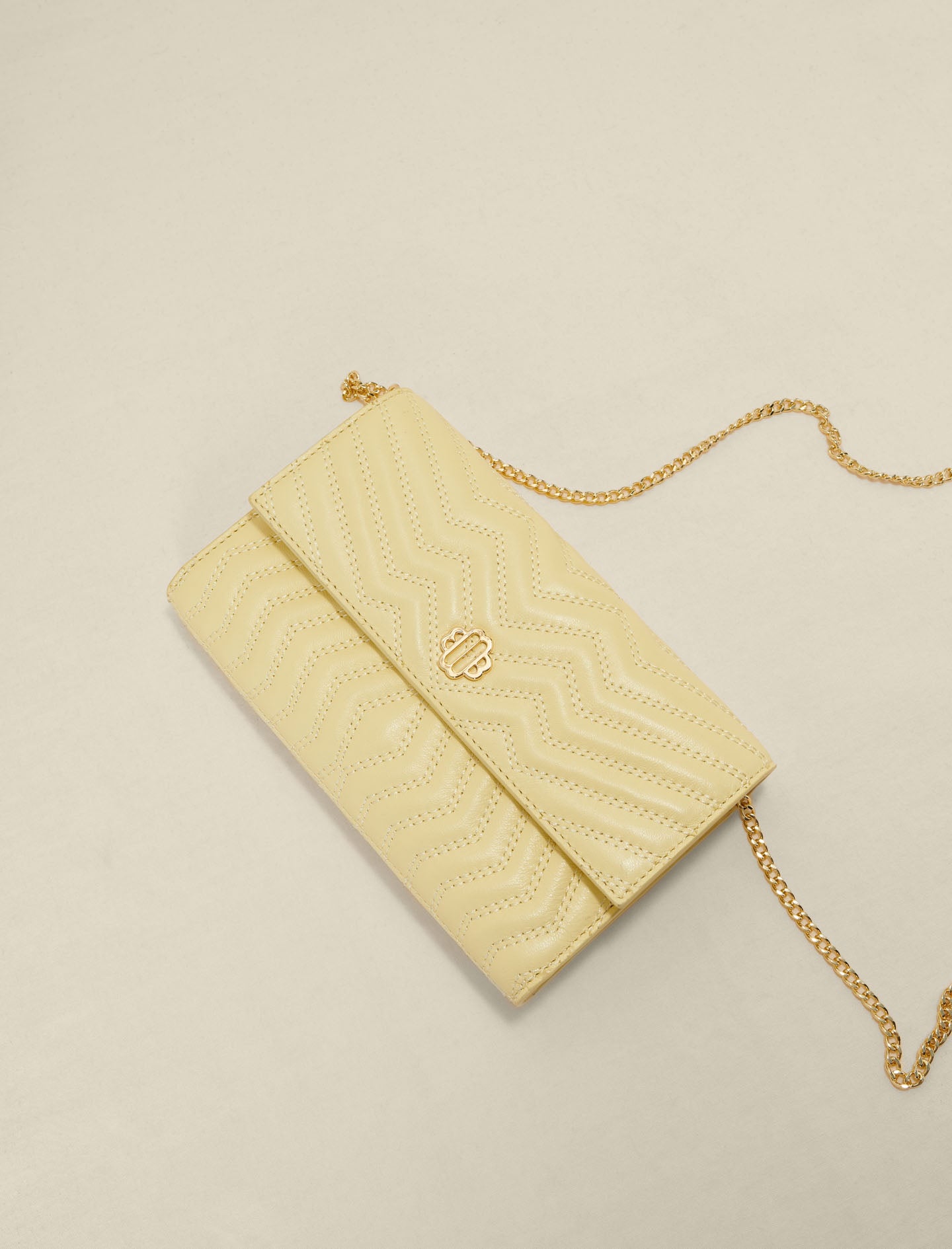 Cartera de piel con cadena